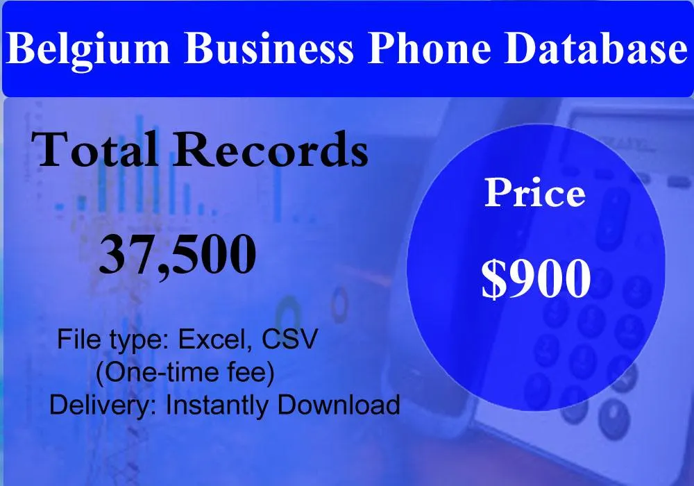 Belgium Business Phone Database