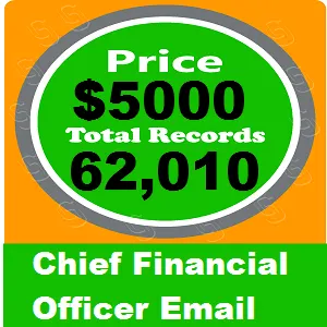 Chief Financial Officer Email Database