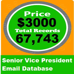 Senior Vice President Email Database