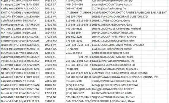 Accountants email list